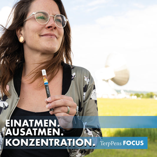 TerpCademy – Entourage Effekt, was ist das?